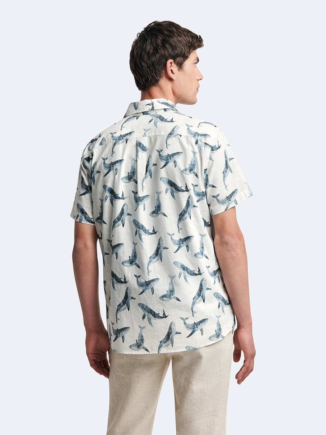 Chemise 100% coton animalier - DEVRED 1902