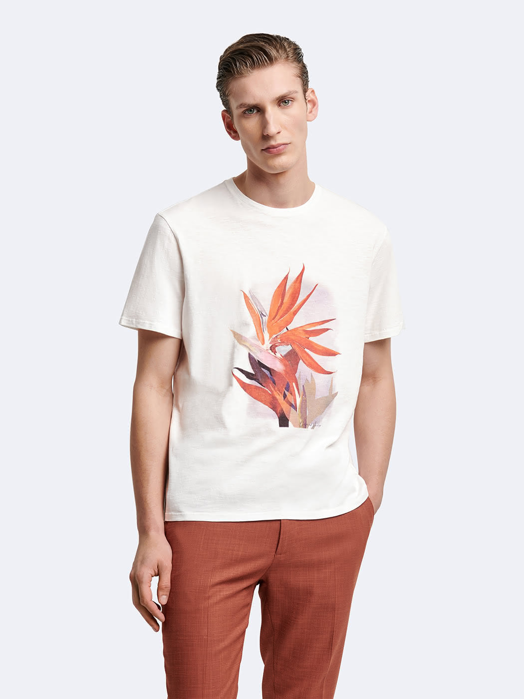T-shirt col rond 100% coton à motif - DEVRED 1902