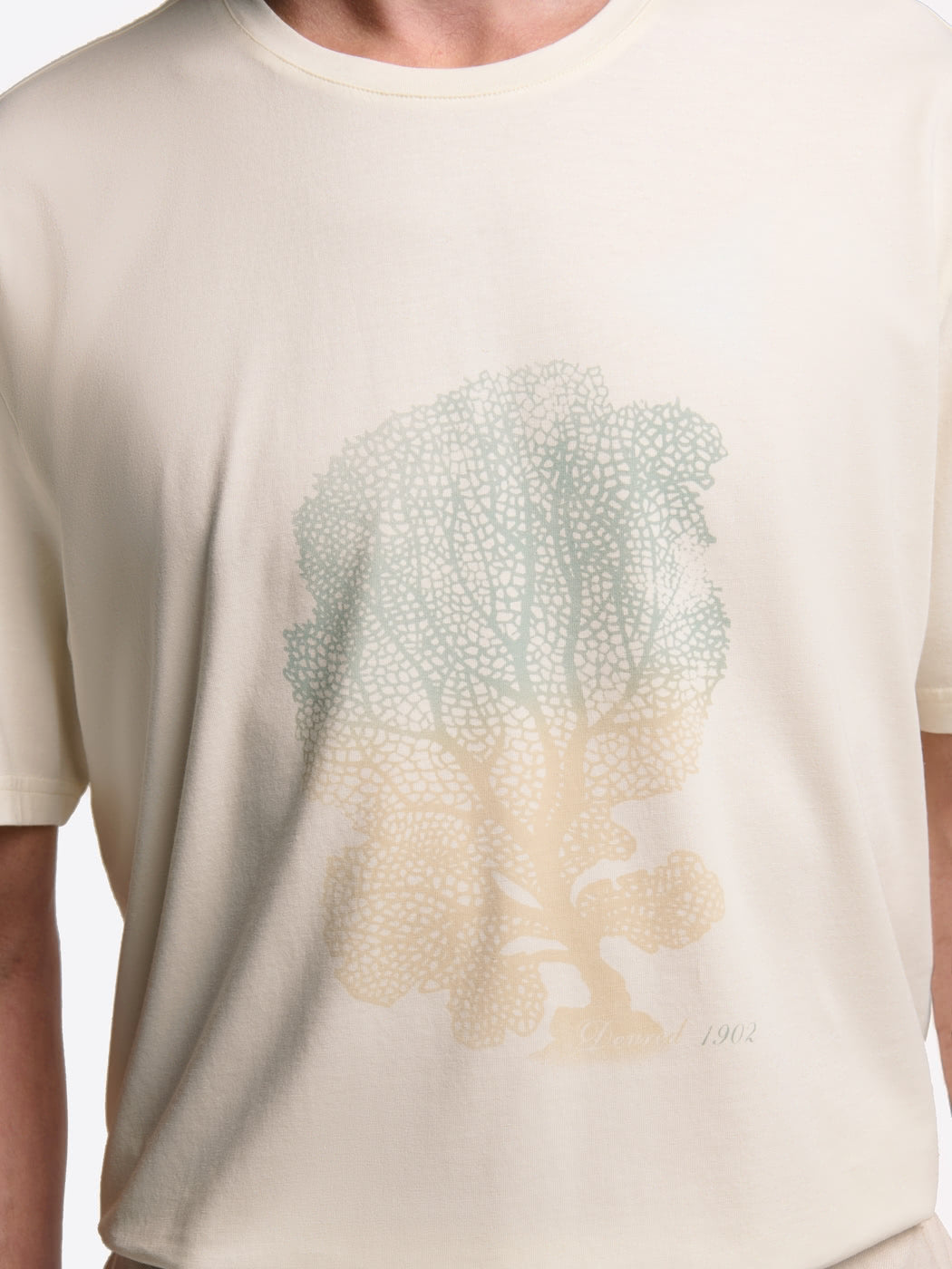 T-shirt col rond en coton - DEVRED 1902